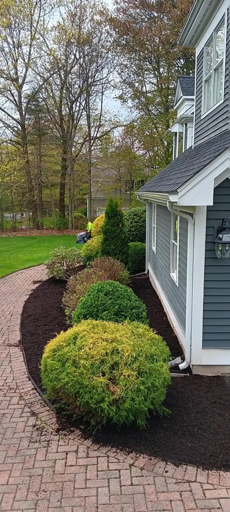 Vasquez Tree & Landscaping Service - tree service in East Hartford, CT
