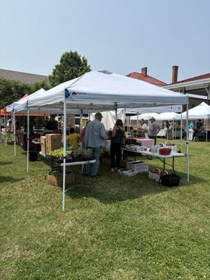 Amqui Station Farmers Market by null