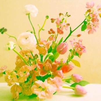 Rabble Flowers - wedding and event flowers - Florists Near Me Rabble Flowers - wedding and event flowers - Florists Near Me