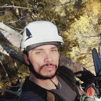 AP Tree Removal & Care - Tree Services Near Me