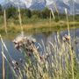 Photo of Schwabacher Landing