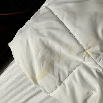 La Quinta by Wyndham Deming - Stained bedding - Hotels Near Me - Deming, New Mexico