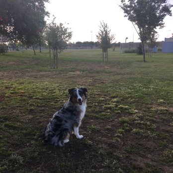 Al Radka Park - Parks Near Me - Fresno, California