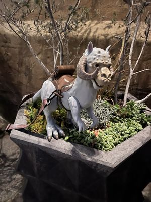 Star Wars: Galaxy's Edge by null