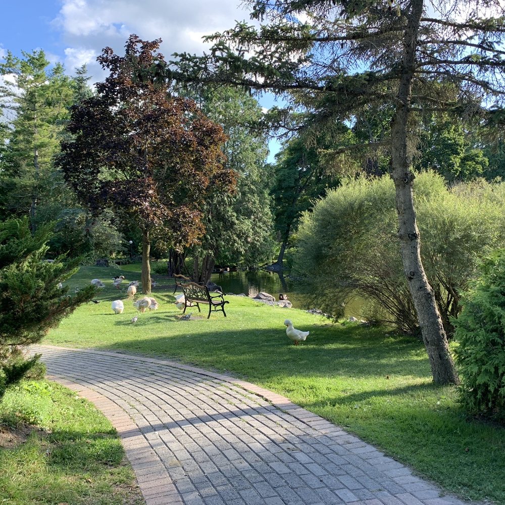 Rideau Acres Resort - There's a duck pond. - Kingston, Ontario