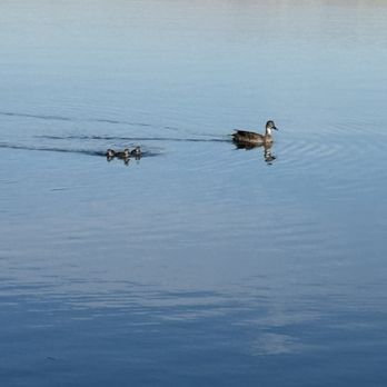 Kingman Wash - Lakes Near Me - Temple Bar Marina, Arizona