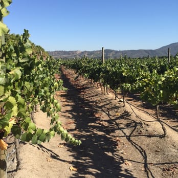 Bodegas RE - Wineries Near Me - Casablanca, VS Bodegas RE - Wineries Near Me - Casablanca, VS