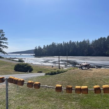 Buck Bay Shellfish Farm - Seafood Markets Near Me - Olga, Washington Buck Bay Shellfish Farm - Seafood Markets Near Me - Olga, Washington