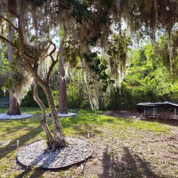Royal Sowings - Clean stonework, no more weeds and mess - Junk Removal & Hauling Near Me - Ocala, Florida