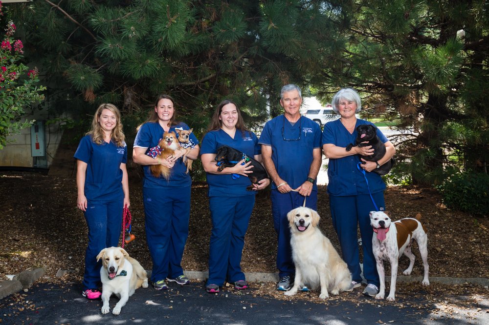 ANIMAL MEDICAL CLINIC Updated August 2024 3045 N Market Ave, Fayetteville, Arkansas