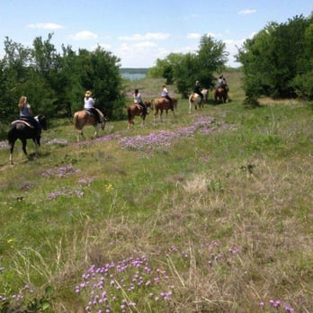Touch of Chrome Trail Rides - Your family's outing could be like this.
Lots of fun for everyone. Call us us for your next event. 817 - 648 - 2584 - Horseback Riding Near Me - Crowley, Texas Touch of Chrome Trail Rides - Your family's outing could be like this.
Lots of fun for everyone. Call us us for your next event. 817 - 648 - 2584 - Horseback Riding Near Me - Crowley, Texas