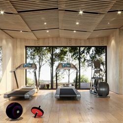Gym Equipment for sale for your home fitness center in Kennesaw, GA 30152