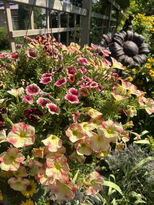 DanWalt Botanical Gardens by null