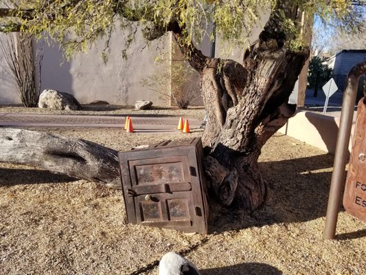 The Jail Tree by null