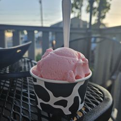 Josie's Ice Cream - Watermelon sherbet