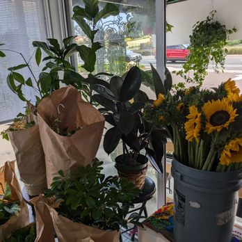 Florena - Florists Near Me - Encinitas, California