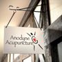 Photo of Anodyne Community Acupuncture
