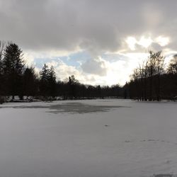 Hinterbrühler See - Zugefroren...