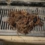 Photo of Chula Vista Rooter Sewer and drain cleaning service 