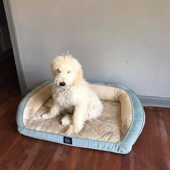 Little's Playhouse - A cozy and comfortable space for your pet - Pet Groomers Near Me - Marietta, Georgia Little's Playhouse - A cozy and comfortable space for your pet - Pet Groomers Near Me - Marietta, Georgia