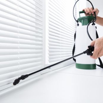 All Platinum Termite & Pest Control - Contact All Platinum Pest Control™ today at (718) 710-9982 or bugs@allplatinumpestcontrol.com and we'll advise you on our st... - Pest Control Near Me - Staten Island, New York All Platinum Termite & Pest Control - Contact All Platinum Pest Control™ today at (718) 710-9982 or bugs@allplatinumpestcontrol.com and we'll advise you on our st... - Pest Control Near Me - Staten Island, New York