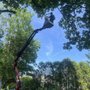Photo of LCN Tree Service