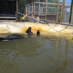Seal Sanctuary