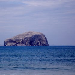 Bass Rock - Bass Rock from Seacliff Beach