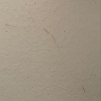 Brookings Inn Resort - Poop on wall my toilet paper holder - Hotels Near Me - Brookings, Oregon Brookings Inn Resort - Poop on wall my toilet paper holder - Hotels Near Me - Brookings, Oregon