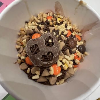 sweetFrog Premium Frozen Yogurt - Frozen Yogurt (12 oz.) - Ice Cream & Frozen Yogurt Near Me - Camillus, New York sweetFrog Premium Frozen Yogurt - Frozen Yogurt (12 oz.) - Ice Cream & Frozen Yogurt Near Me - Camillus, New York