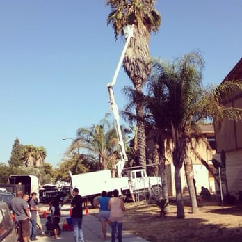 AC Tree Service - Tree Services Near Me