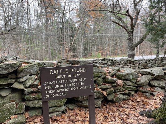 Bradbury Mountain State Park by null