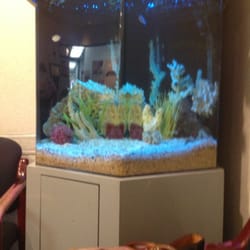 Eliott Romero, MD - Fish tank inside the waiting room.....