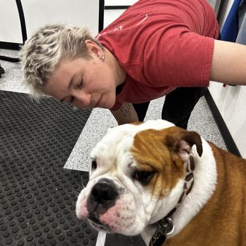 Dynamite Dogs Training & Grooming - Dog groomer - Pet Training Near Me - Murrieta, California