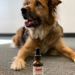 Eastern Vapor & CBD Superstore