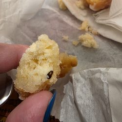 Same cockroach in buttermilk donut.
