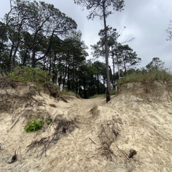 Savage Neck Dunes - Hiking Near Me - Cape Charles, Virginia Savage Neck Dunes - Hiking Near Me - Cape Charles, Virginia