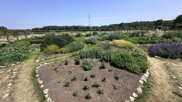 Cherry Point Farm & Market by null