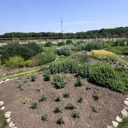 Cherry Point Farm & Market