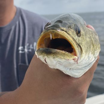 Inshore Society - Boat Charters Near Me - Tampa, Florida