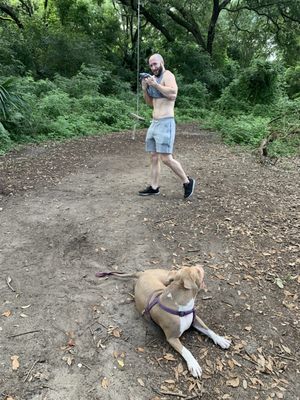 Couturie Forest by null