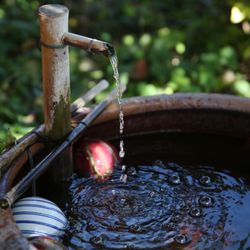 Colleen West, LMFT - Buddha garden fountain