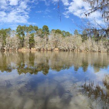 Caddo Lake State Park - View of the river - Parks Near Me - Karnack, Texas
