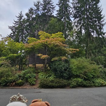Volunteer Park Water Tower - Beautiful tree! The colors!!! - Landmarks & Historical Buildings Near Me - Seattle, Washington Volunteer Park Water Tower - Beautiful tree! The colors!!! - Landmarks & Historical Buildings Near Me - Seattle, Washington