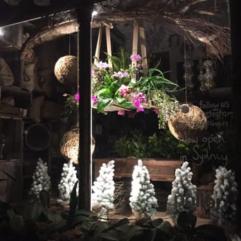 Pollon Flowers - Christmas Window by night - Florists Near Me - Melbourne, VIC Pollon Flowers - Christmas Window by night - Florists Near Me - Melbourne, VIC