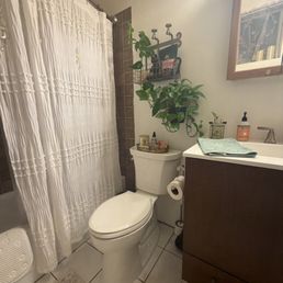 My new toilet installed!