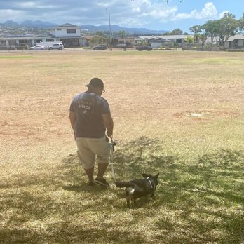 Alpha K9 Training - Day 1 of puppy class. - Pet Training Near Me