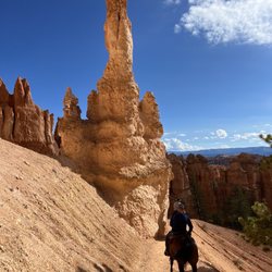 Canyon Trail Rides
