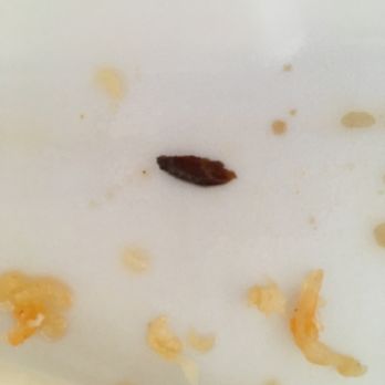 EJ Sushi - a bed bug in a bathtub - Sushi Bars Near Me - Toronto, Ontario EJ Sushi - a bed bug in a bathtub - Sushi Bars Near Me - Toronto, Ontario