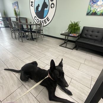 Monkey Dog Coffee - Coffee & Tea Near Me - Clovis, California